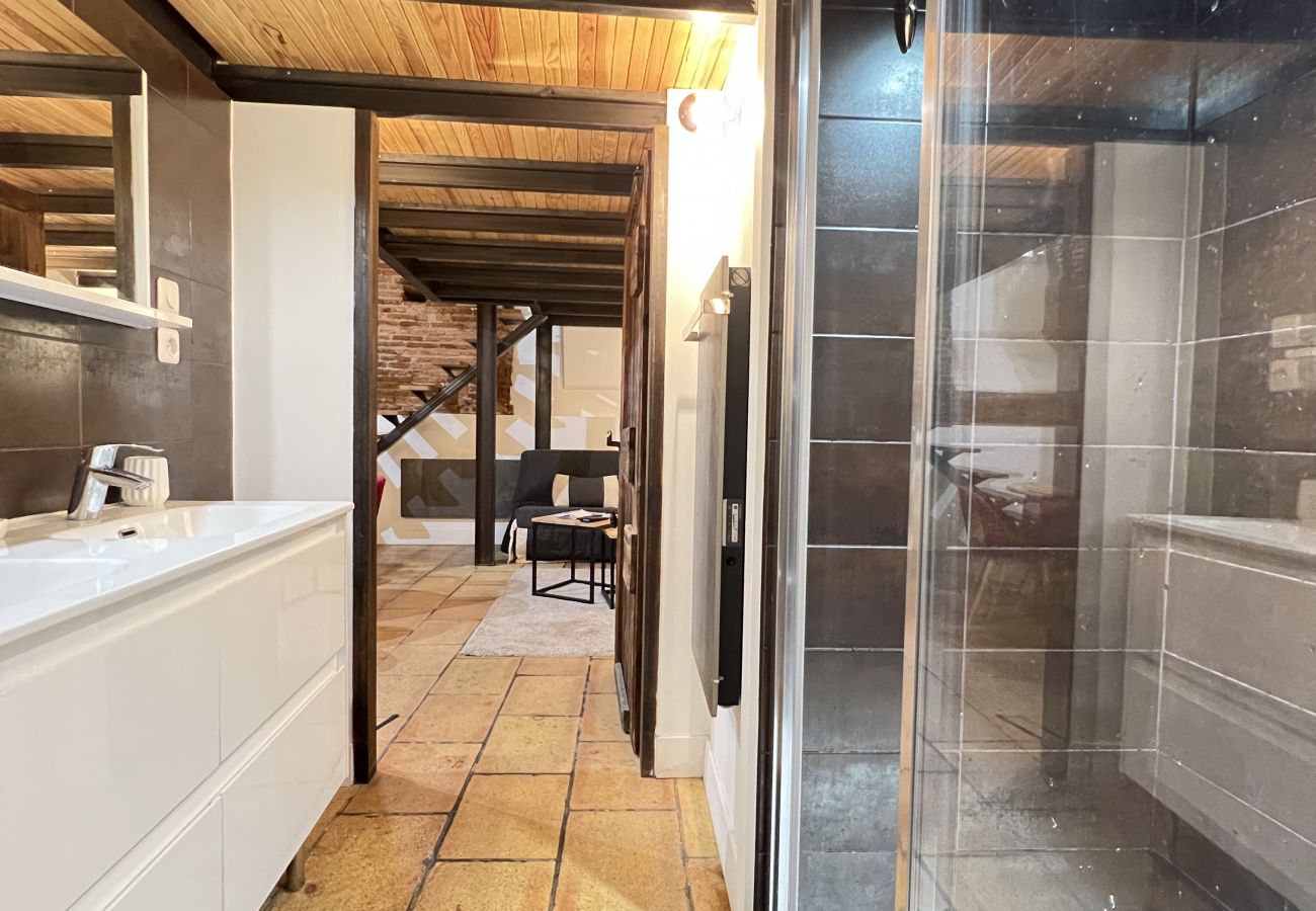 Appartement à Toulouse - La Romance - Loft Ancien au coeur de Toulouse