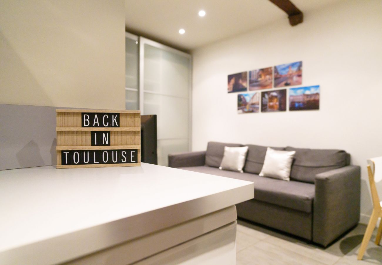 Appartement à Toulouse - Le Nightflyer : Atypique T2 Climatisé