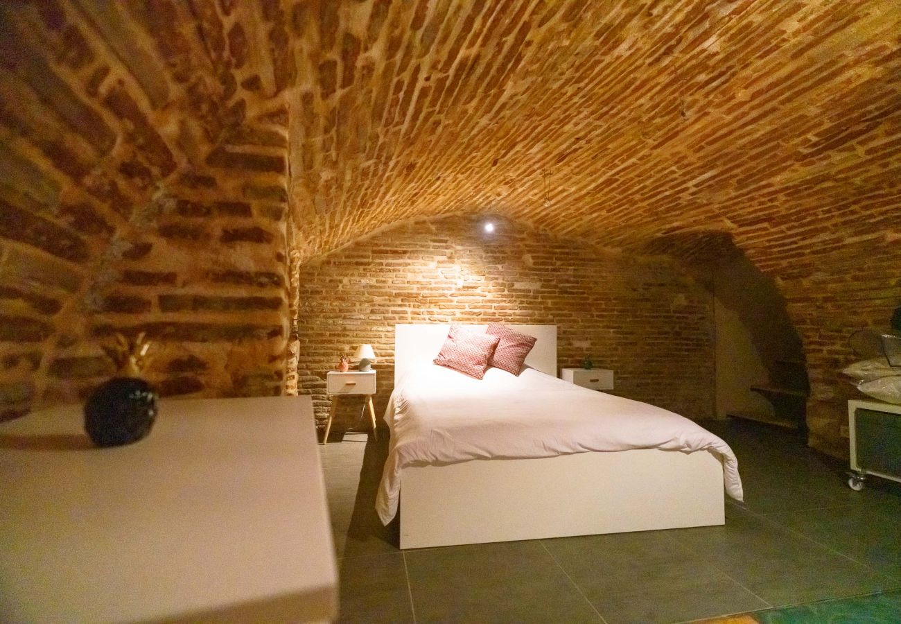 Appartement à Toulouse - Le Nightflyer : Atypique T2 Climatisé