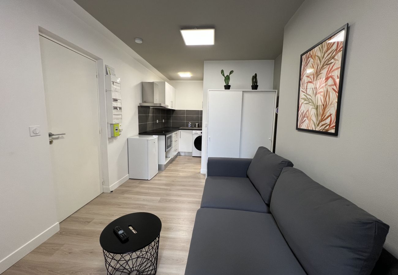 Appartement à Toulouse - Le Taur : ravissant studio au Capitole