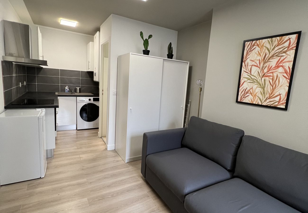 Appartement à Toulouse - Le Taur : ravissant studio au Capitole