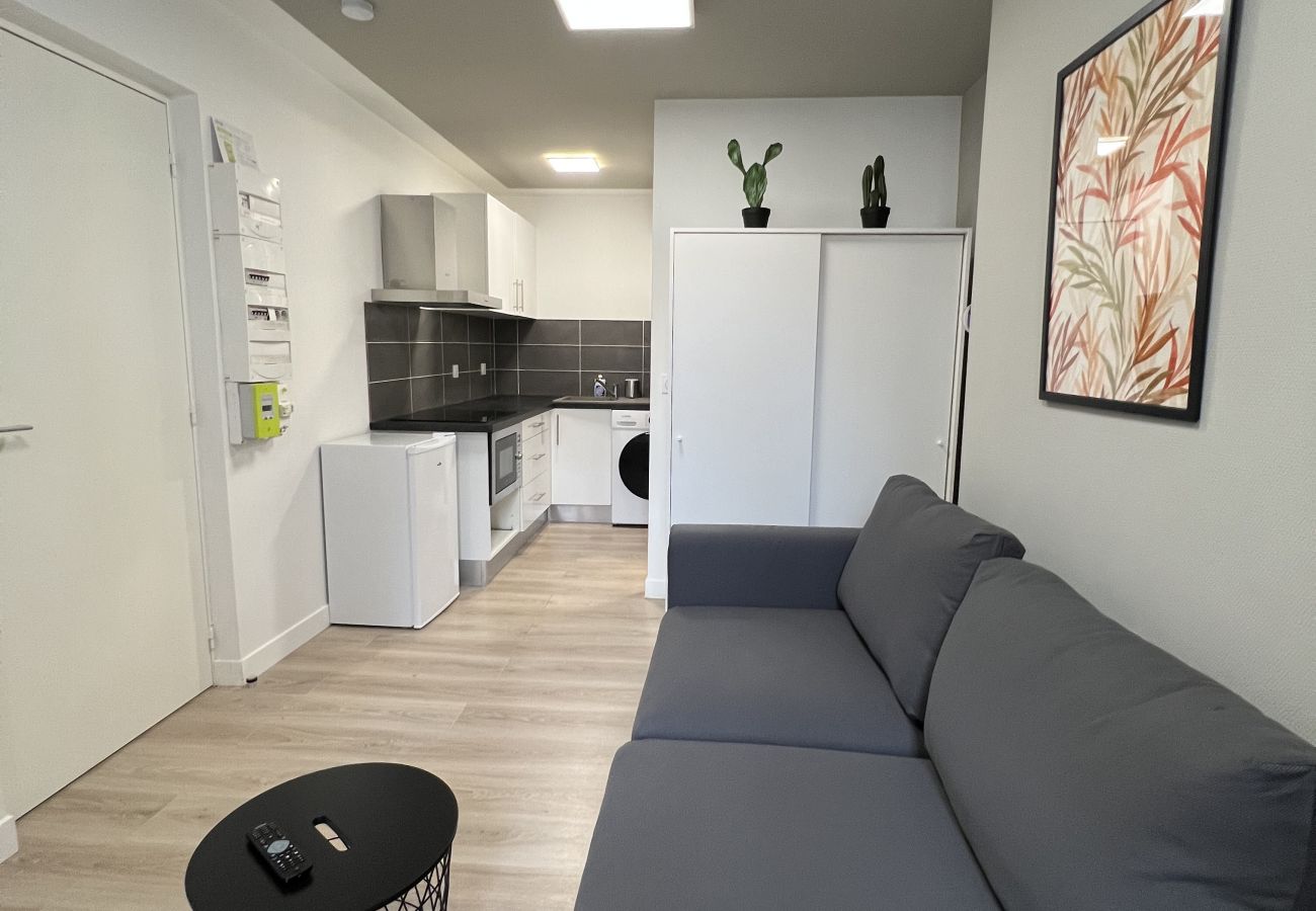 Appartement à Toulouse - Le Taur : ravissant studio au Capitole