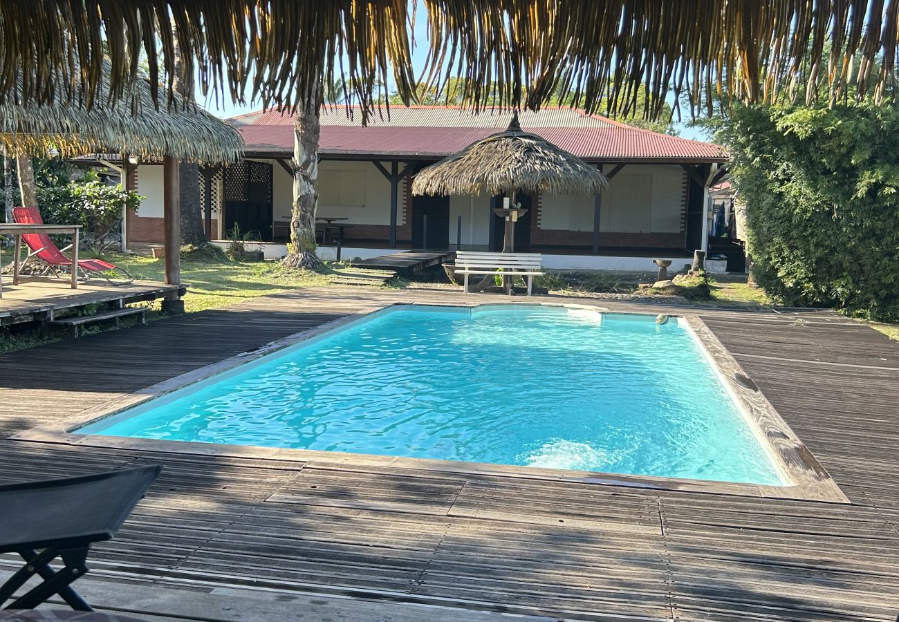 Villa à Matoury - La Villa des Palmiers Bleus - Piscine & Jardin