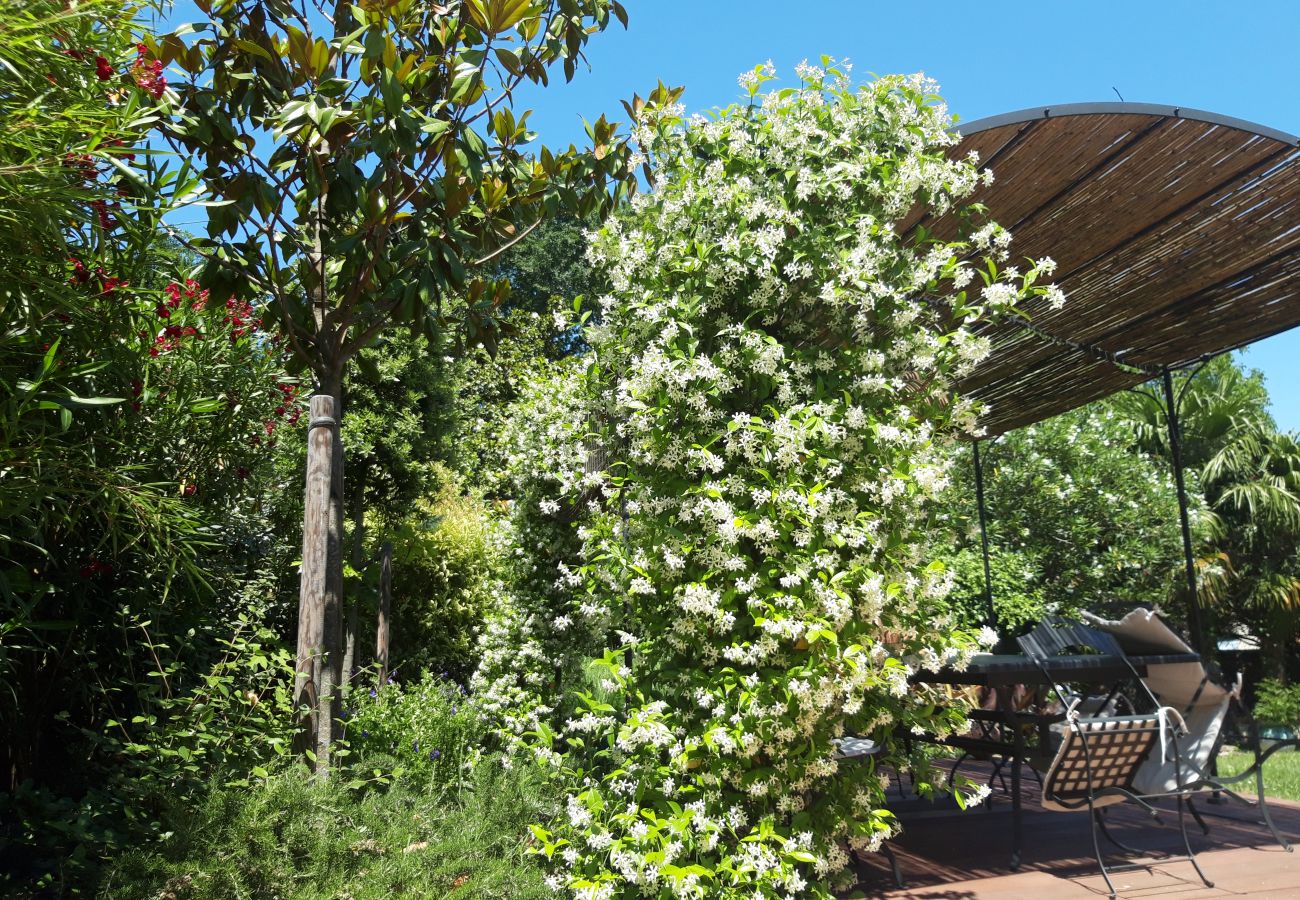 Maison à Blagnac - La douceur - 8p - Maison Familiale avec Jardin