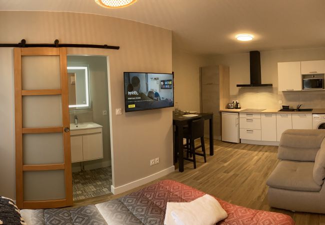 Appartement à Toulouse - Occitan, Studio climatisé & Lumineux avec Parking