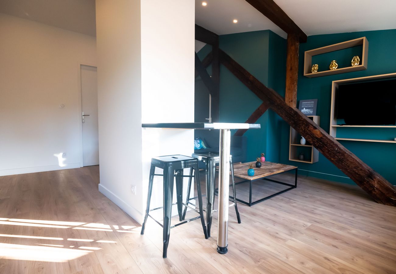 Apartment in Toulouse - Le Puits-Clos : T2 sous les toits proche Capitole