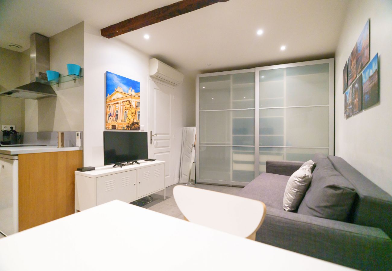 Apartment in Toulouse - Le Nightflyer : Atypique T2 Climatisé