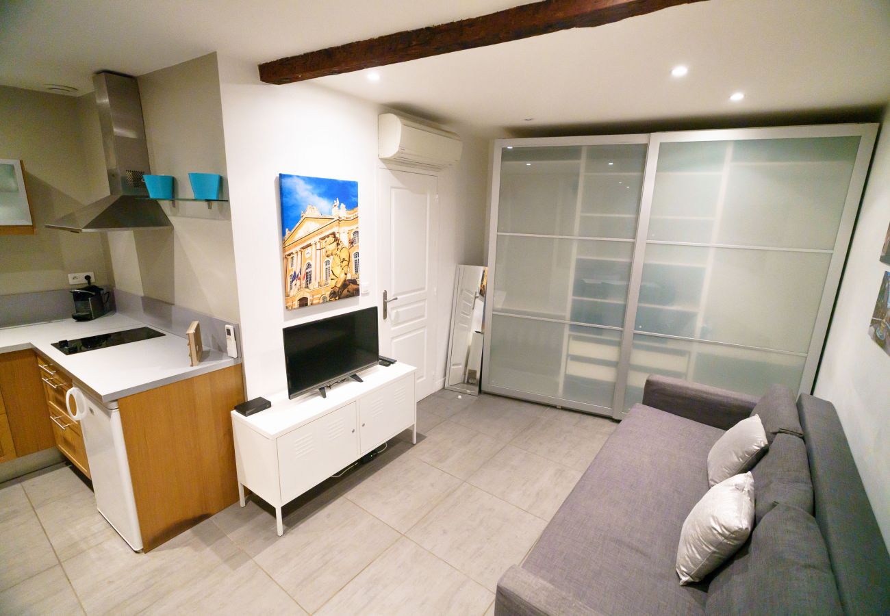 Apartment in Toulouse - Le Nightflyer : Atypique T2 Climatisé