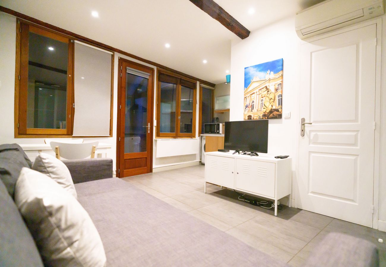 Apartment in Toulouse - Le Nightflyer : Atypique T2 Climatisé