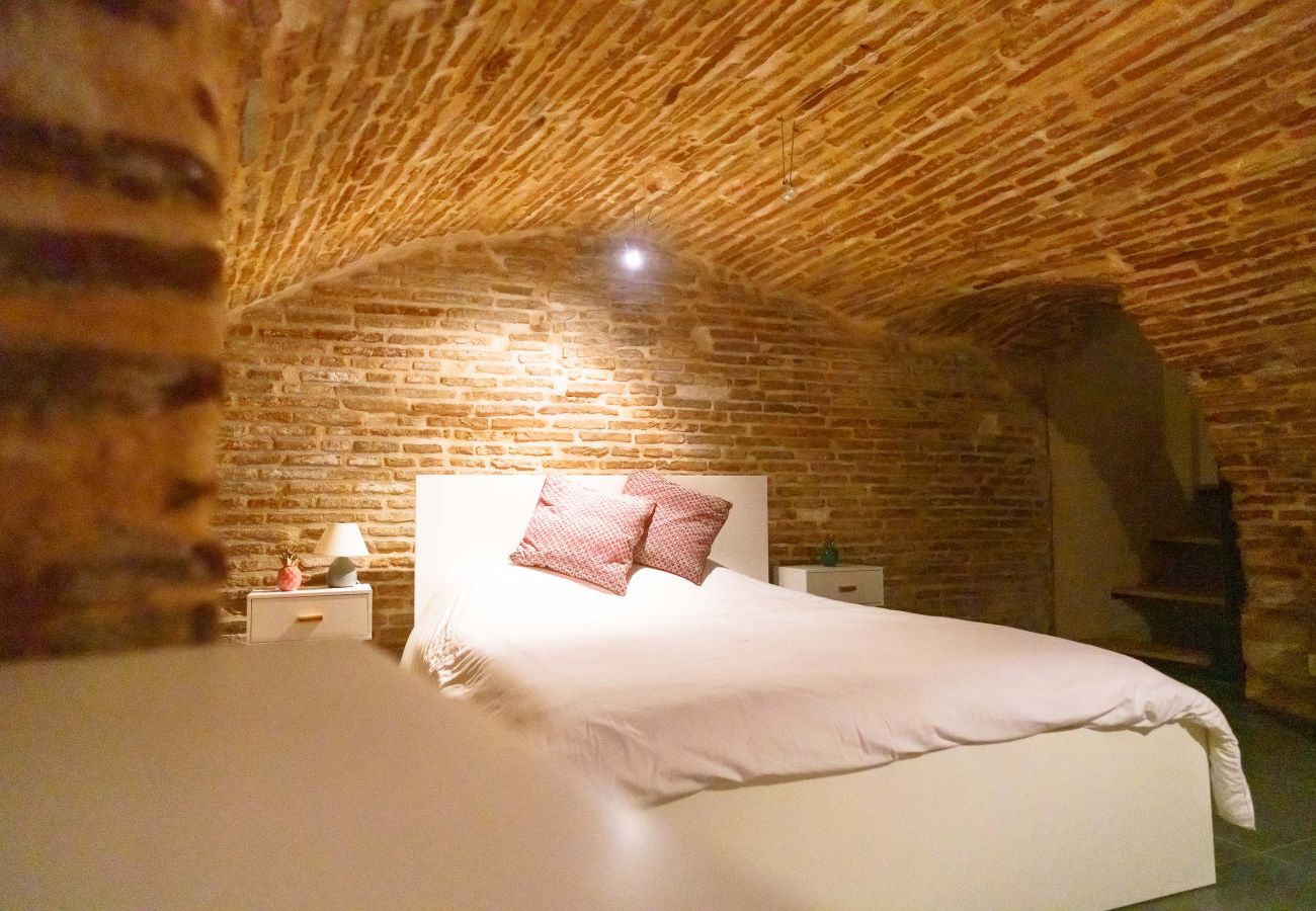 Apartment in Toulouse - Le Nightflyer : Atypique T2 Climatisé