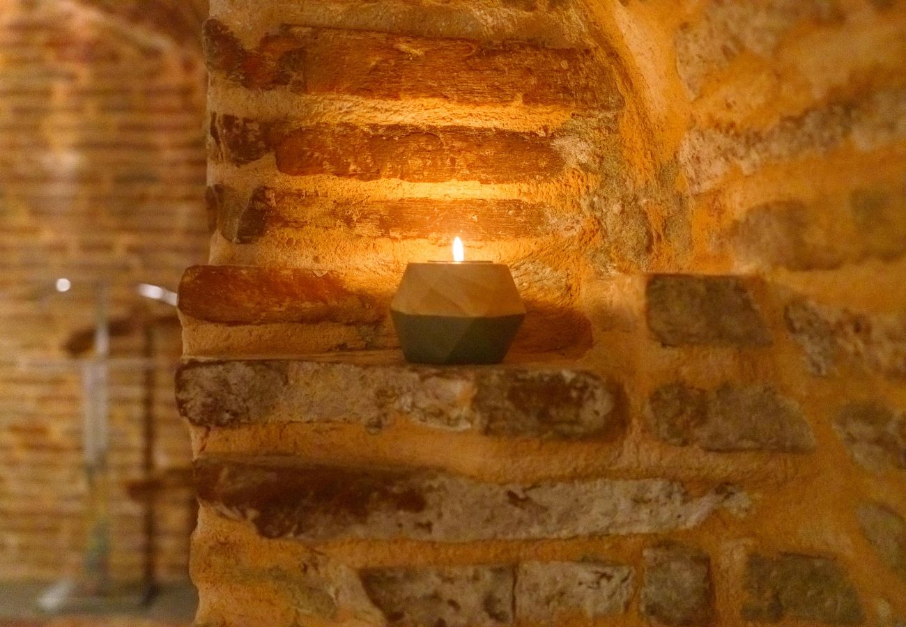 Apartment in Toulouse - Le Nightflyer : Atypique T2 Climatisé