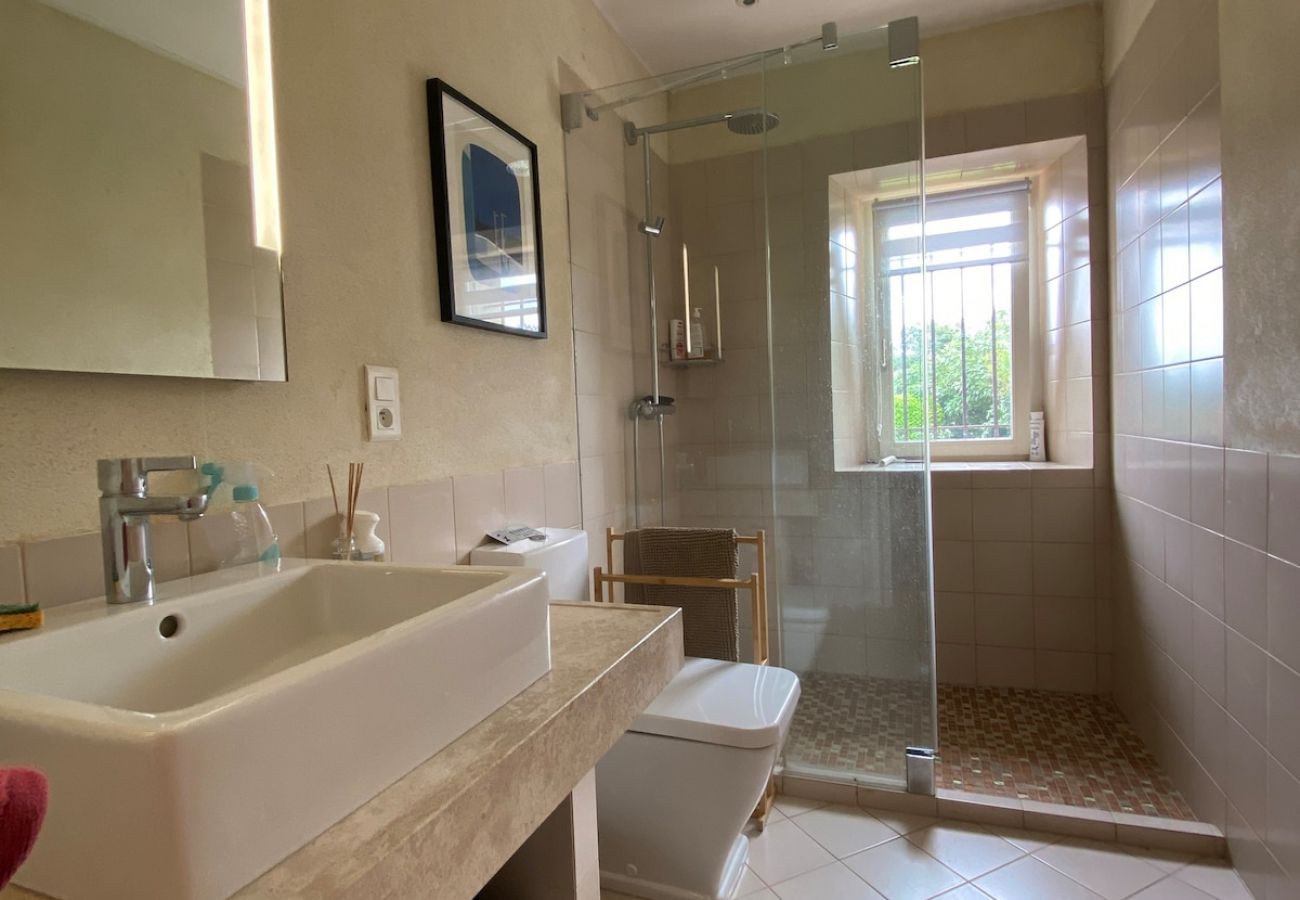 Villa in Saint-Michel-de-Lanès - La Lauragaise - Exceptionnelle Villa avec Piscine