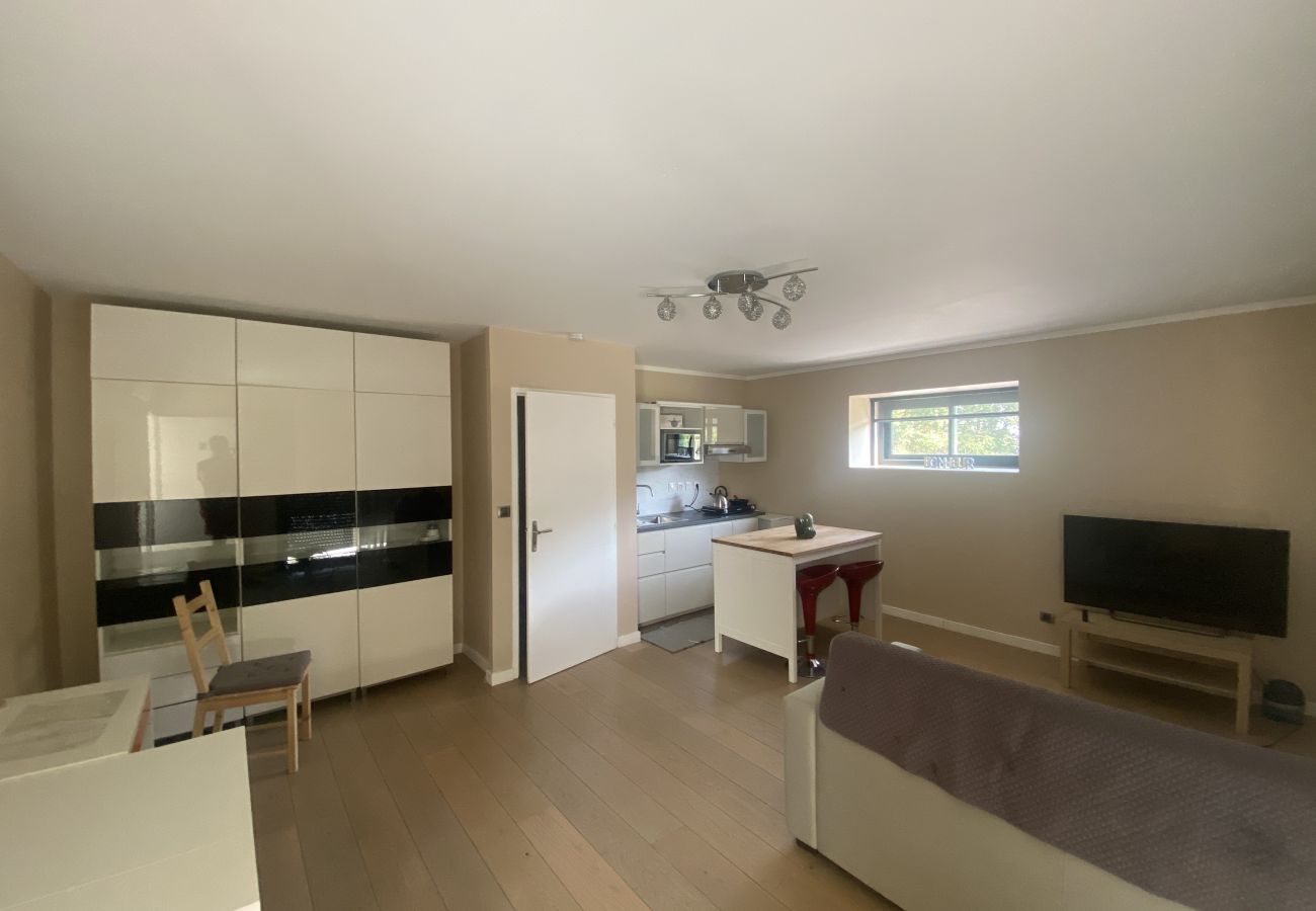House in Saint-Sauveur - La Frontonnaise : Villa d'architecte Nord Toulouse