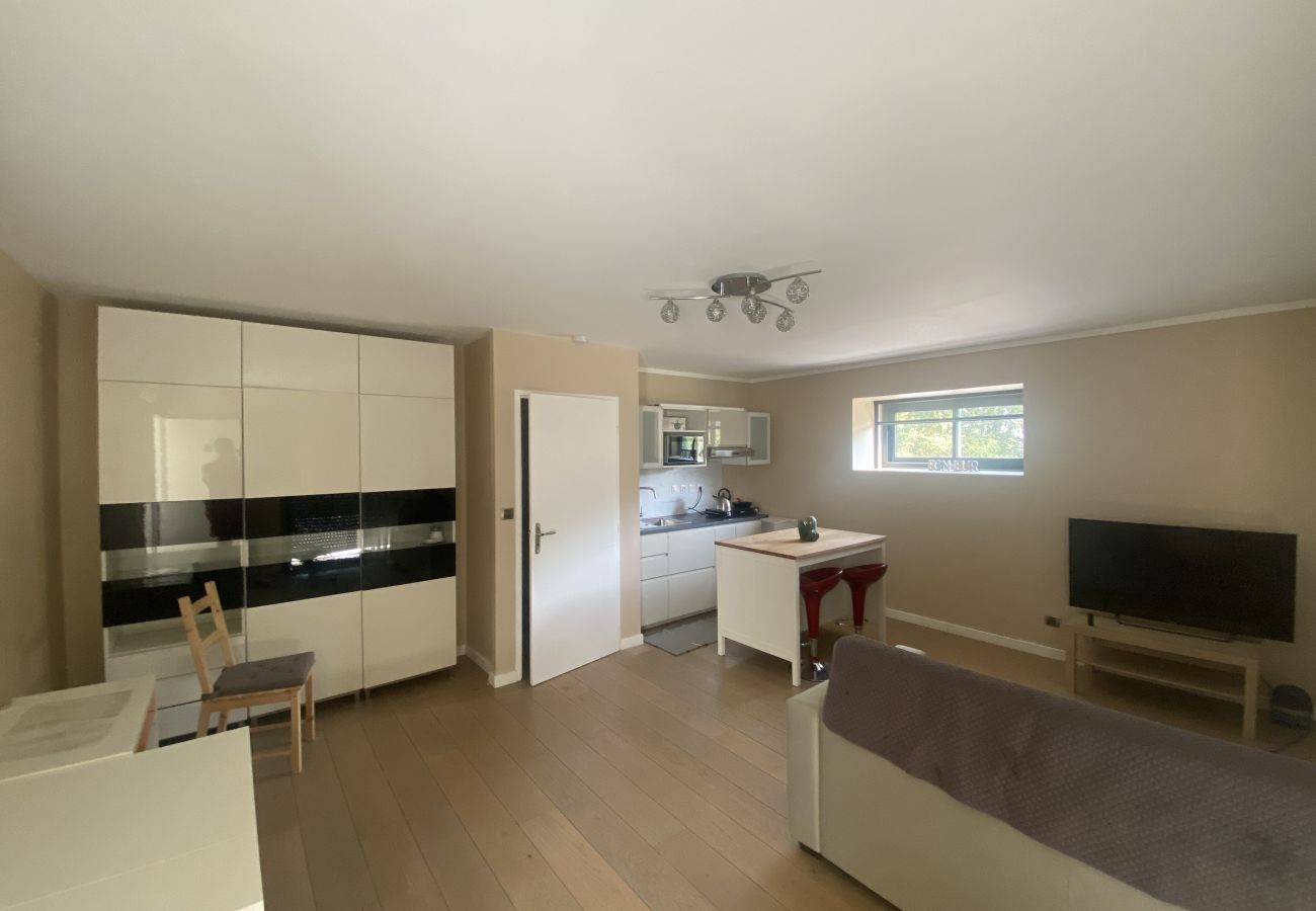 House in Saint-Sauveur - La Frontonnaise : Villa d'architecte Nord Toulouse