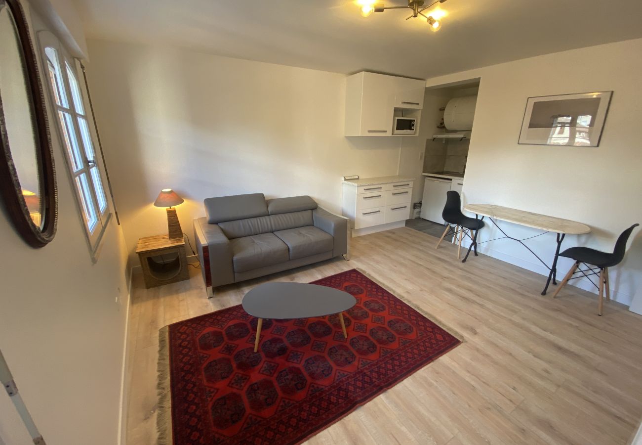 Apartment in Toulouse - Le Légionnaire : T2 idéal près du Canal