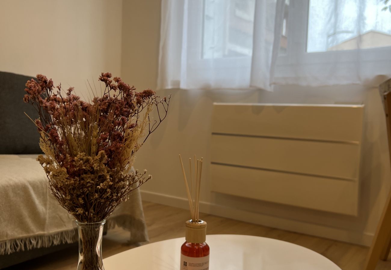 Apartment in Toulouse - Le Petit Sauveur:studio&parking
