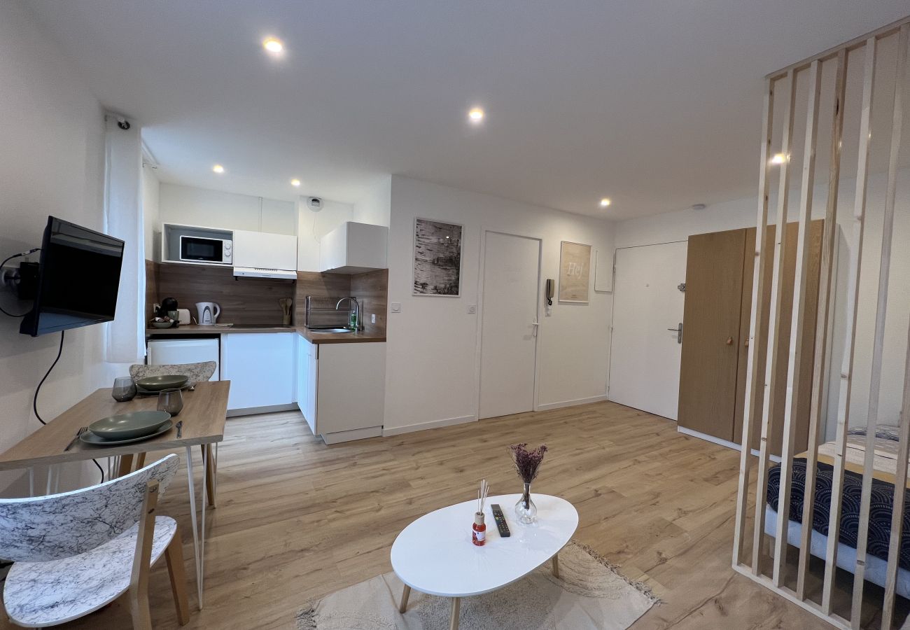 Apartment in Toulouse - Le Petit Sauveur:studio&parking