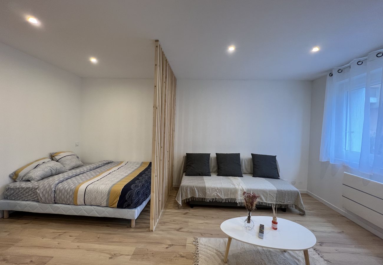 Apartment in Toulouse - Le Petit Sauveur:studio&parking