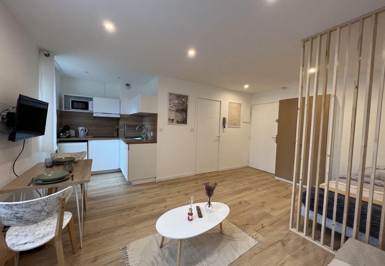 Apartment in Toulouse - Le Petit Sauveur:studio&parking