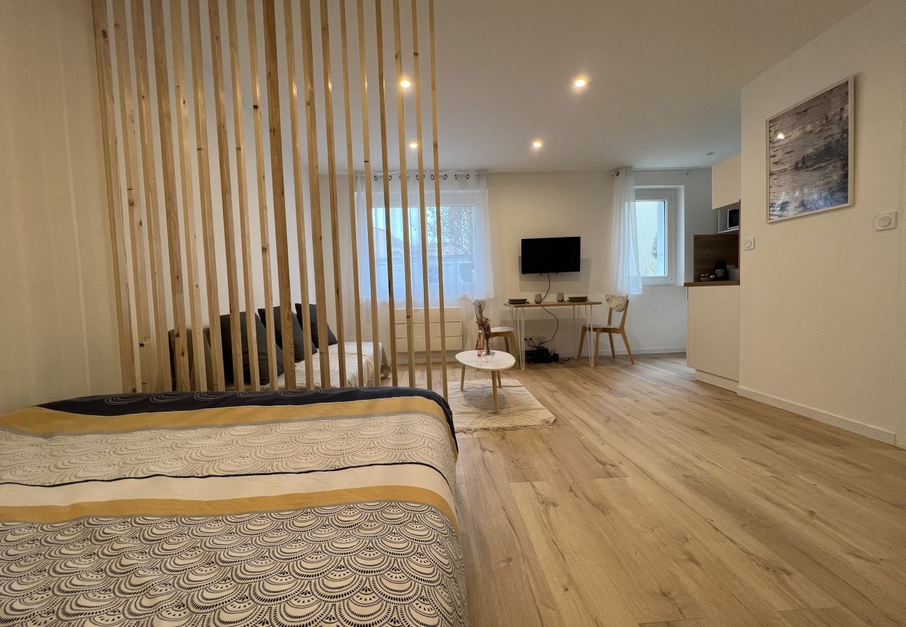 Apartment in Toulouse - Le Petit Sauveur:studio&parking