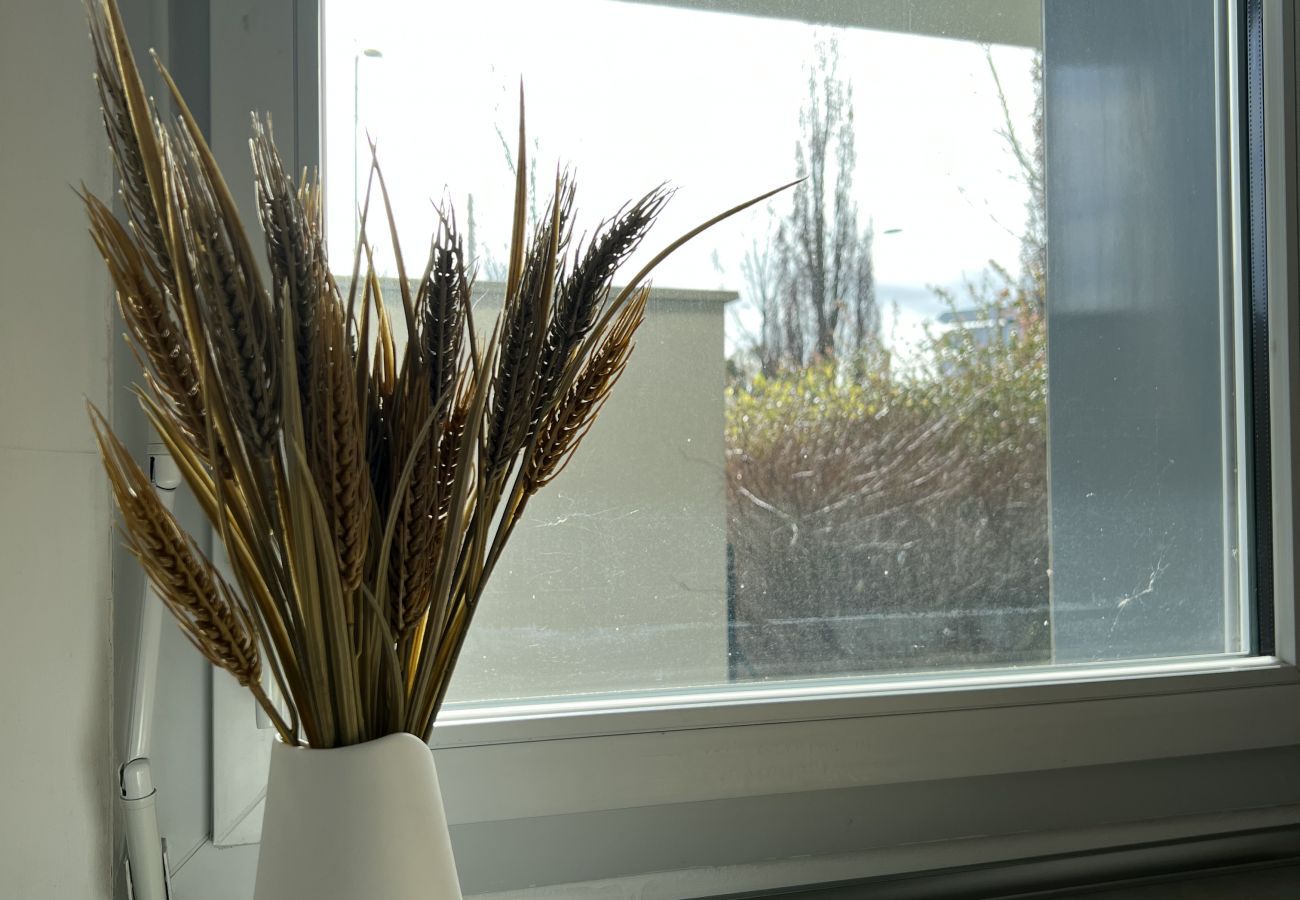 Apartment in Blagnac - Le Quinze Sols : apt 5p - proche Aéroport & Airbus