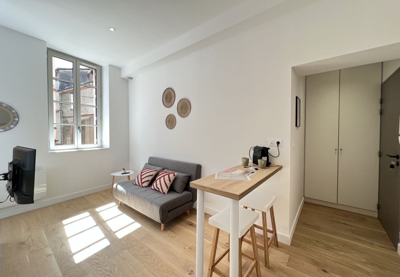Studio in Toulouse - Le Choupi - agréable & lumineux, proche Gare SNCF