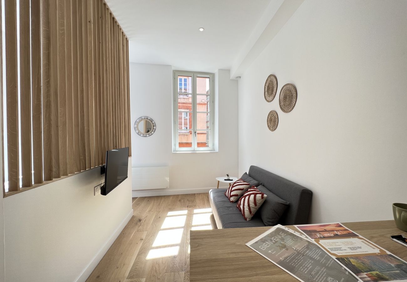 Studio in Toulouse - Le Choupi - agréable & lumineux, proche Gare SNCF