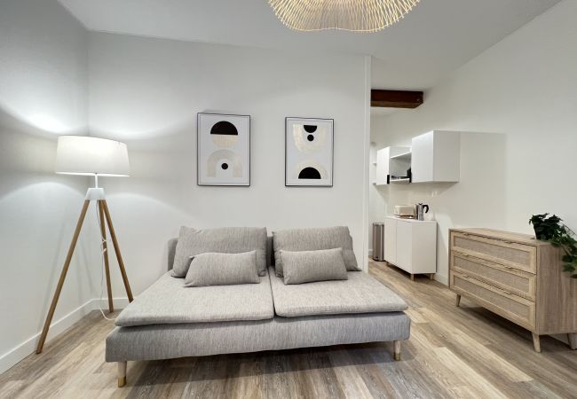 Apartment in Toulouse - The Riverside, pleasant 1bdr Cozy in Downtown Apartment in Toulouse - The Riverside, pleasant 1bdr Cozy in Downtown