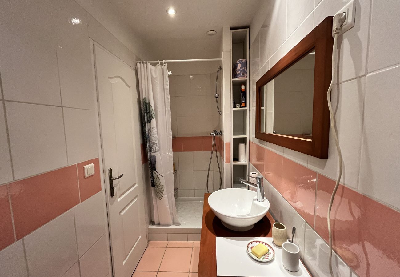 Apartment in Toulouse - Le Pierrotin : Superbe en Hypercentre de Toulouse