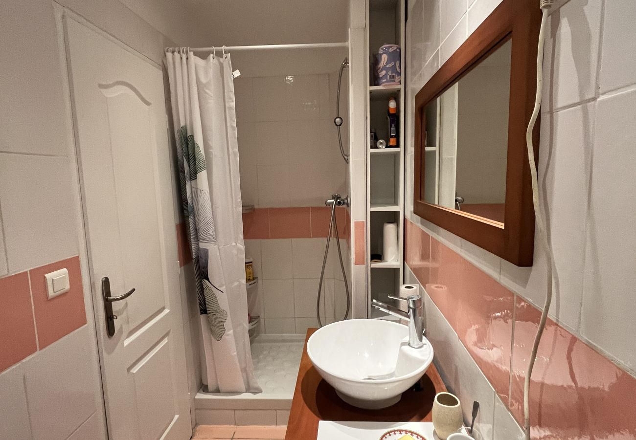 Apartment in Toulouse - Le Pierrotin : Superbe en Hypercentre de Toulouse