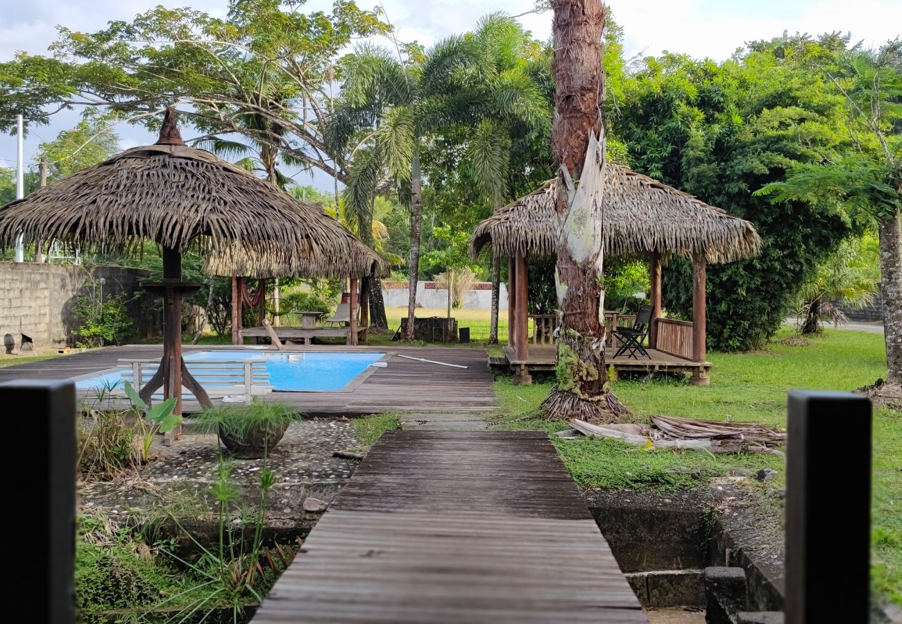 Villa in Matoury - La Villa des Palmiers Bleus - Piscine & Jardin