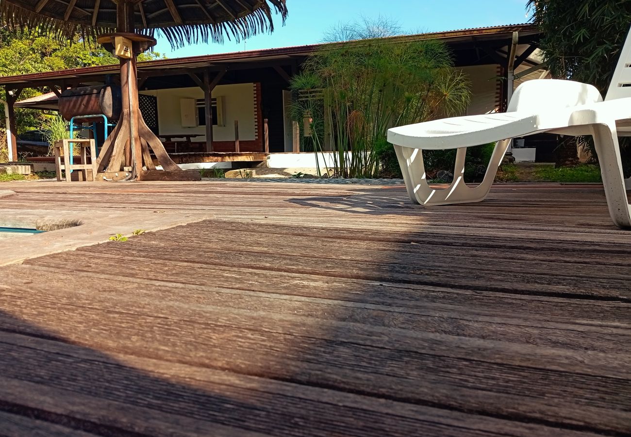 Villa in Matoury - La Villa des Palmiers Bleus - Piscine & Jardin