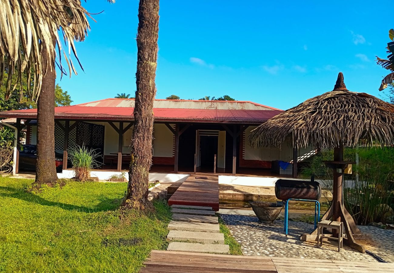 Villa in Matoury - La Villa des Palmiers Bleus - Piscine & Jardin