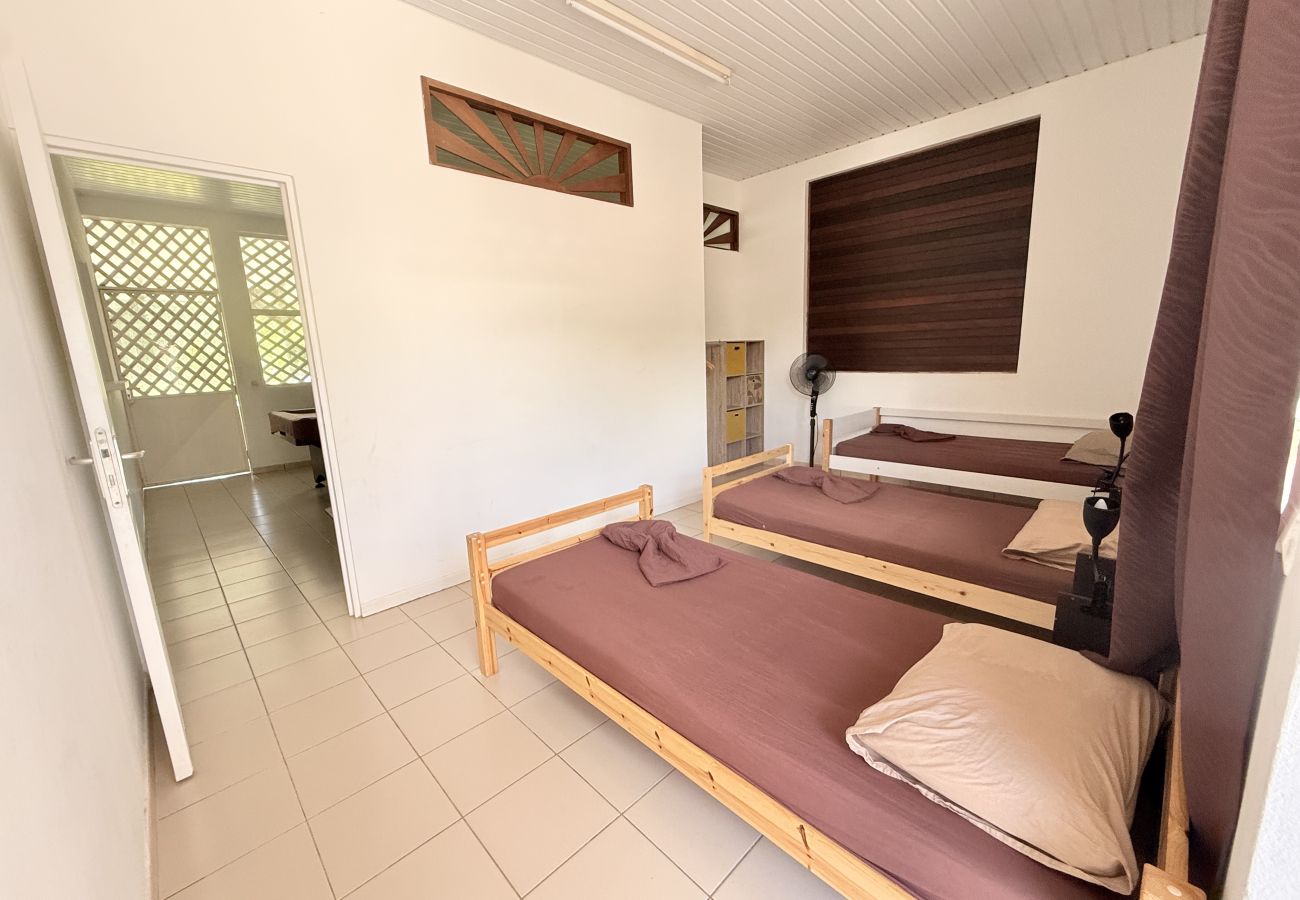 Villa in Matoury - La Villa des Palmiers Bleus - Piscine & Jardin