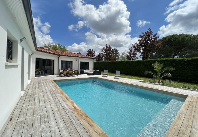 House in Balma - Le Coteau - 8p - Family House - Pool/Garden