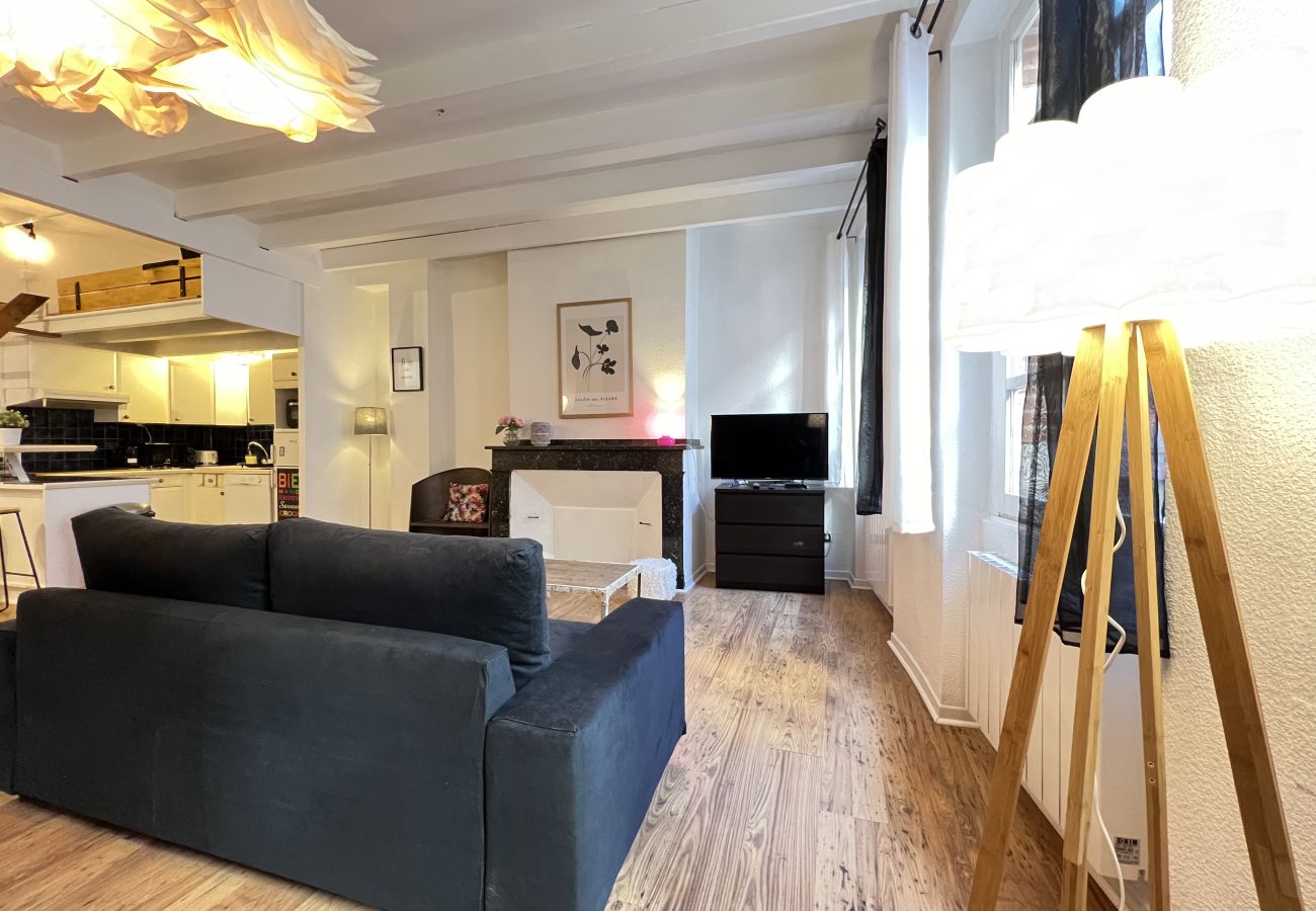 Apartment in Toulouse - Le Vogue -6p- Le charme Toulousain en Hypercentre