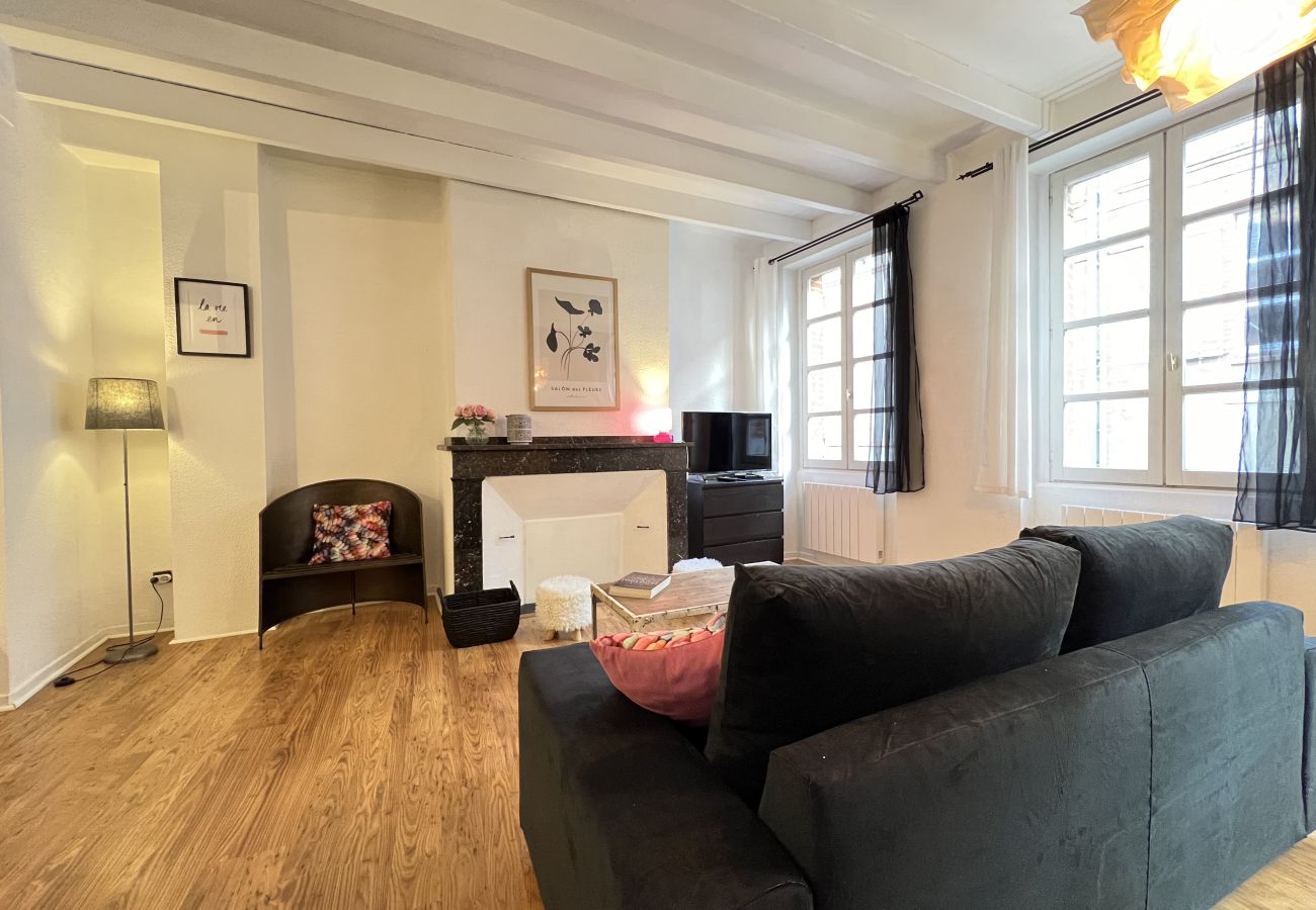 Apartment in Toulouse - Le Vogue -6p- Le charme Toulousain en Hypercentre