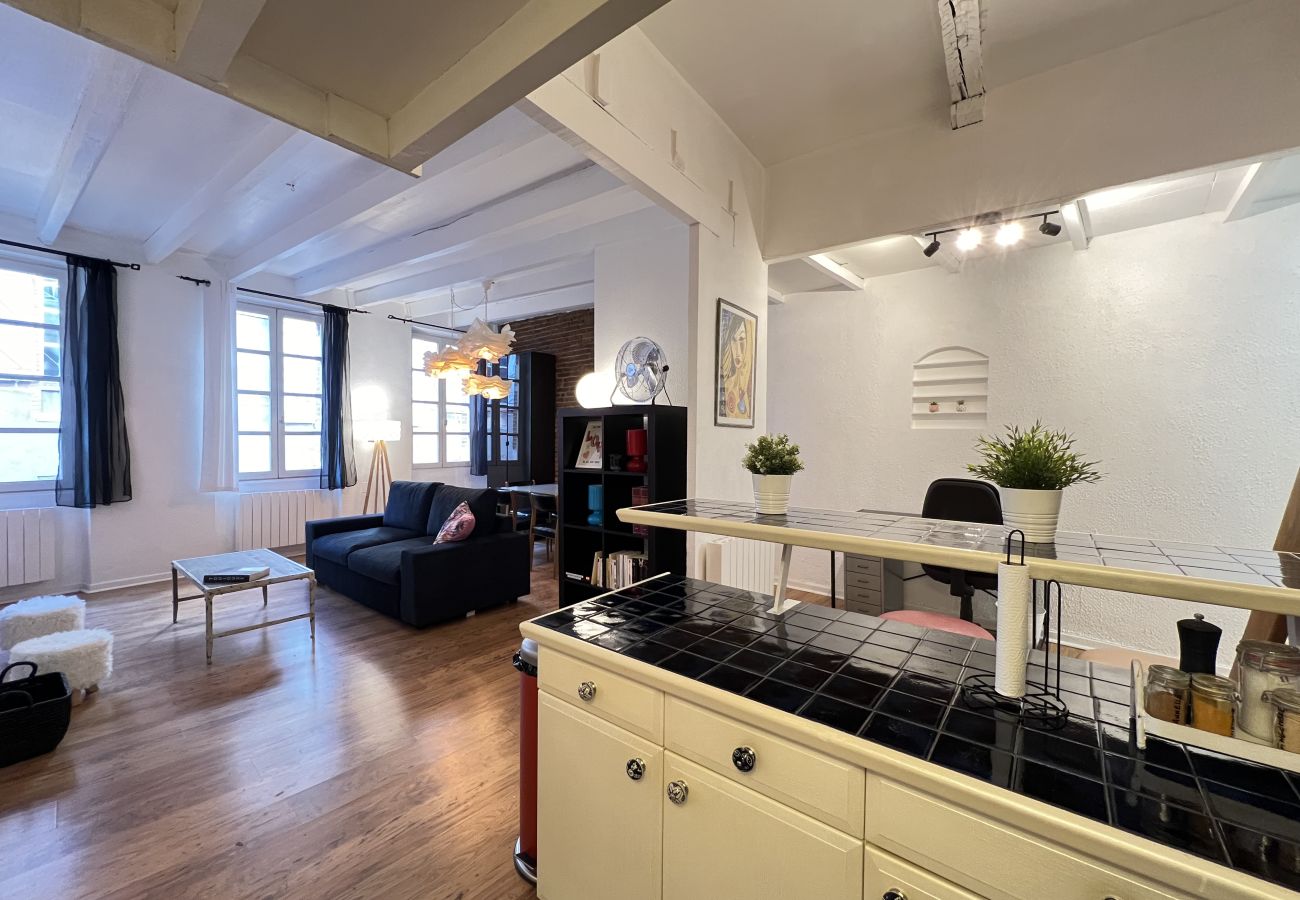 Apartment in Toulouse - Le Vogue -6p- Le charme Toulousain en Hypercentre