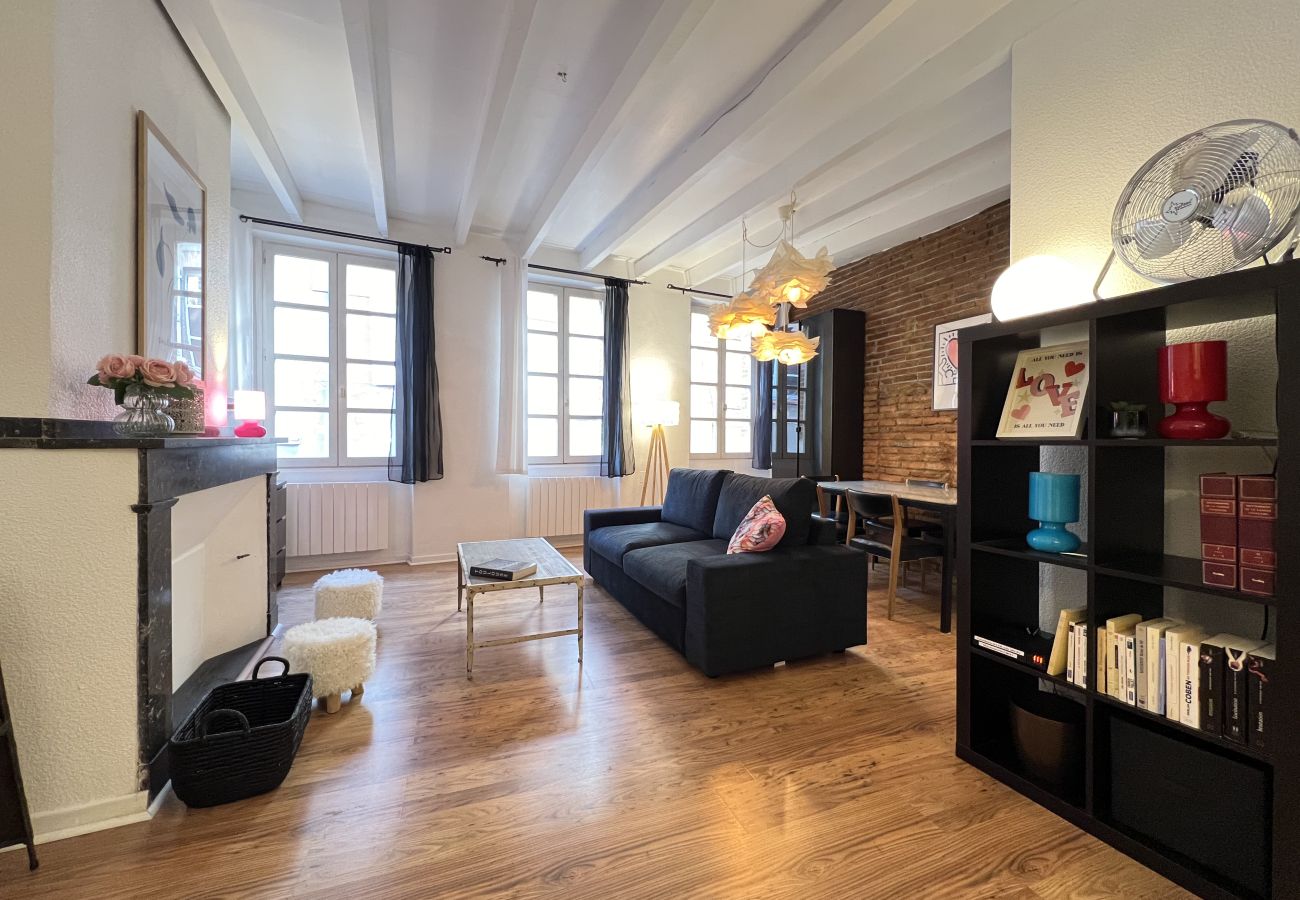Apartment in Toulouse - Le Vogue -6p- Le charme Toulousain en Hypercentre