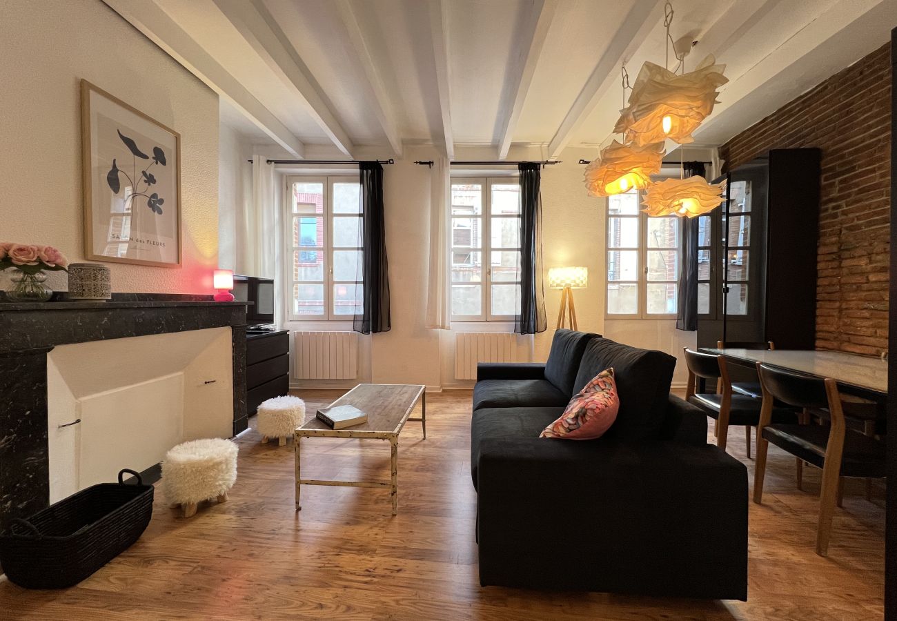 Apartment in Toulouse - Le Vogue -6p- Le charme Toulousain en Hypercentre