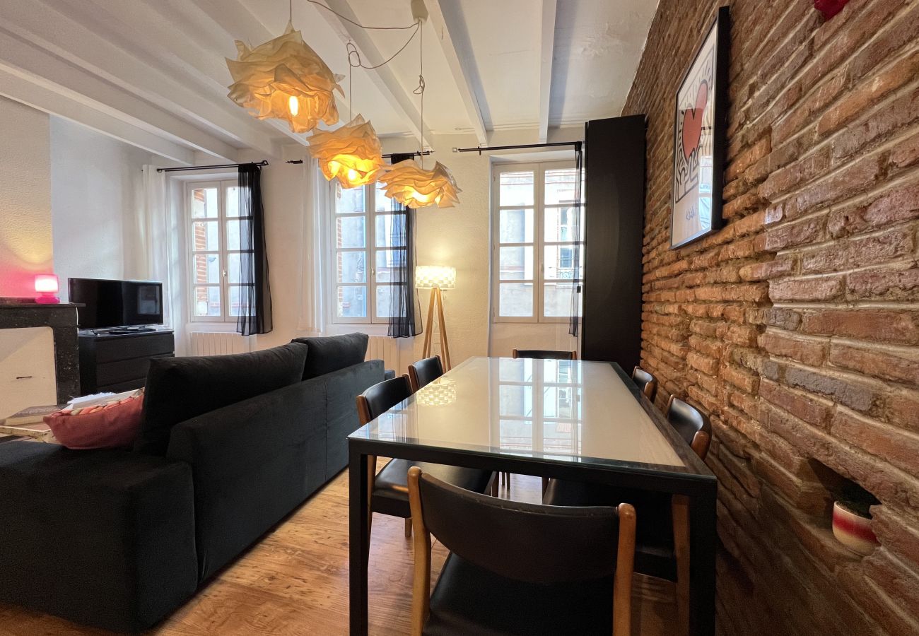 Apartment in Toulouse - Le Vogue -6p- Le charme Toulousain en Hypercentre