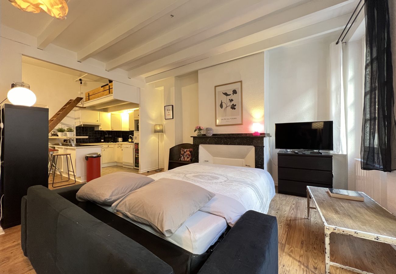 Apartment in Toulouse - Le Vogue -6p- Le charme Toulousain en Hypercentre