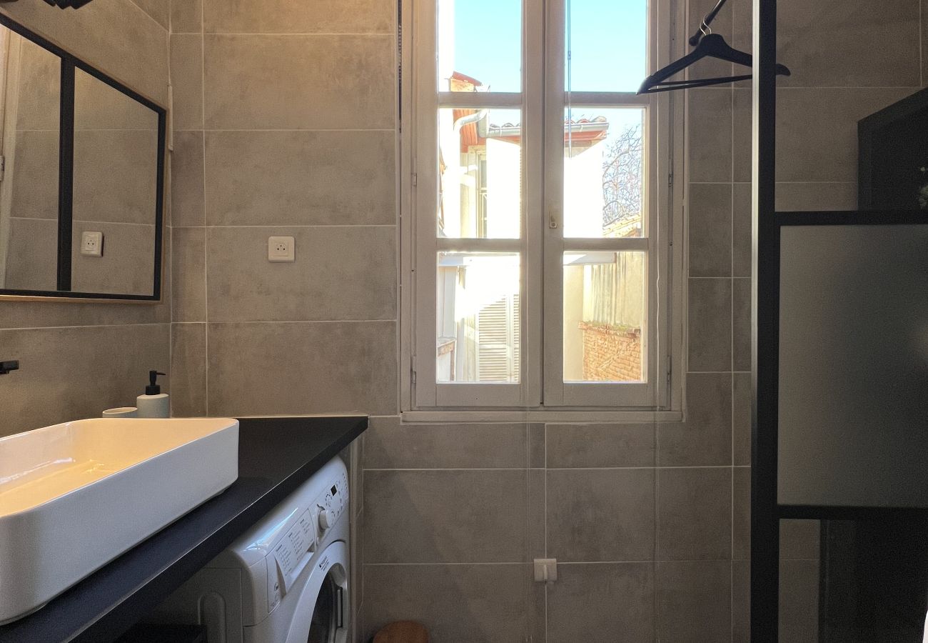 Apartment in Toulouse - Le Vogue -6p- Le charme Toulousain en Hypercentre