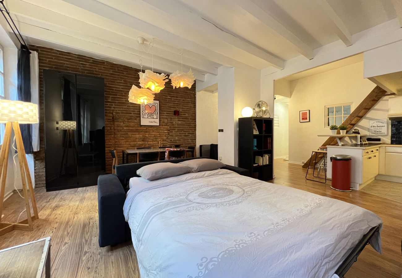 Apartment in Toulouse - Le Vogue -6p- Le charme Toulousain en Hypercentre