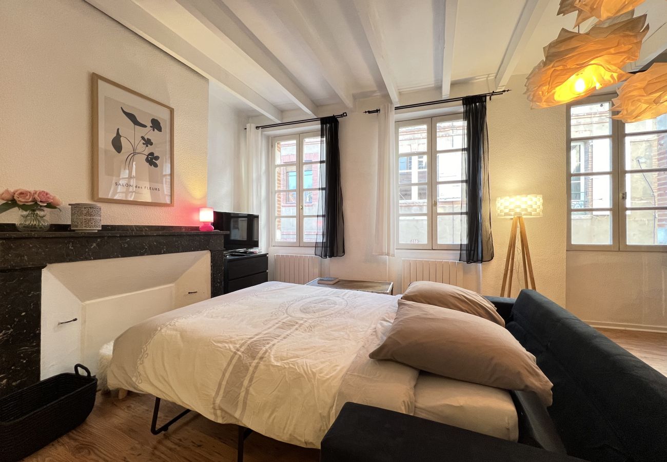 Apartment in Toulouse - Le Vogue -6p- Le charme Toulousain en Hypercentre