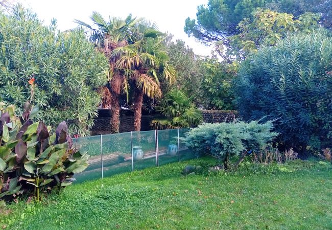 House in Blagnac - Sweetness - 8p - Family House with Garden House in Blagnac - Sweetness - 8p - Family House with Garden