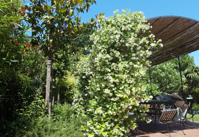 House in Blagnac - Sweetness - 8p - Family House with Garden House in Blagnac - Sweetness - 8p - Family House with Garden