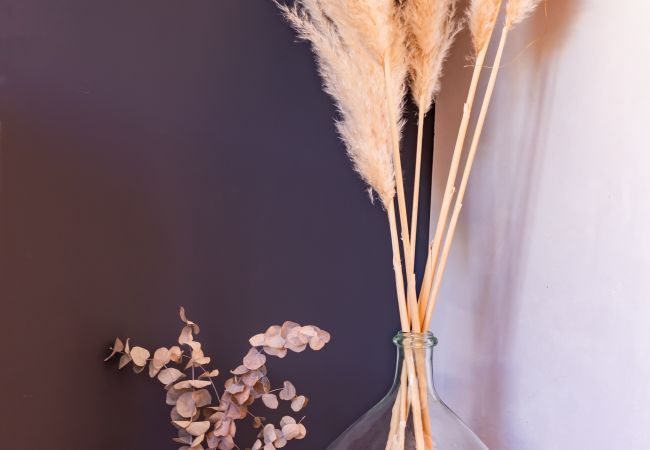 House in Mondonville - La Tendresse - Maison Familliale avec Piscine House in Mondonville - La Tendresse - Maison Familliale avec Piscine