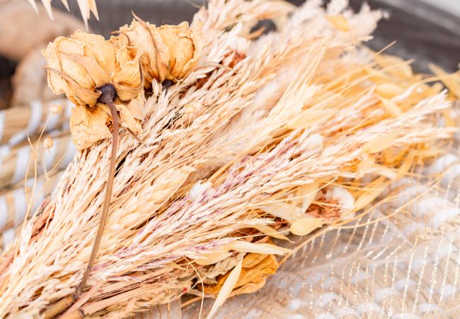 House in Mondonville - La Tendresse - Maison Familliale avec Piscine House in Mondonville - La Tendresse - Maison Familliale avec Piscine